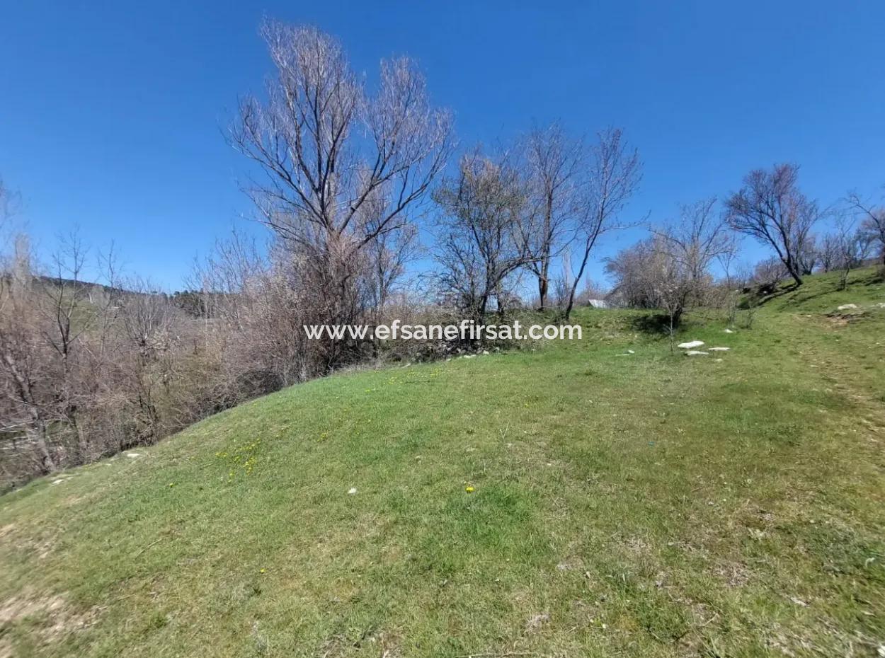 750 M2 Detached / 40 Zoned Lands In Çameli Cevizli For Sale