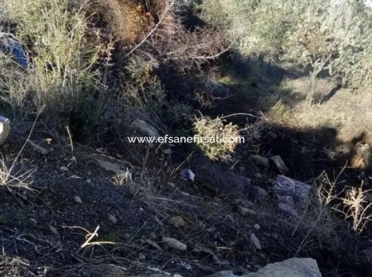 Plot Of Land For Sale In Dalaman Honor