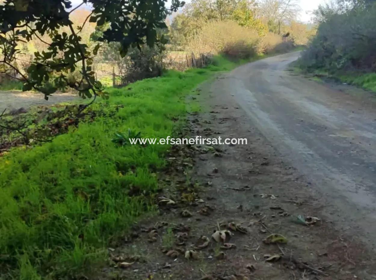 Bargain 6 000 M2 Land For Sale In Muğla Ula Karabörtlende