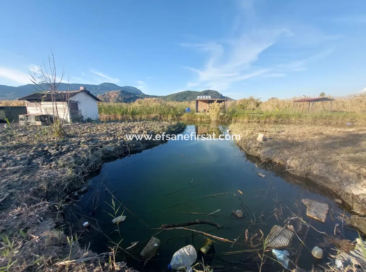 Container With Boat Mooring Place By The Canal In Muğla Ortaca Dalyan – For Sale