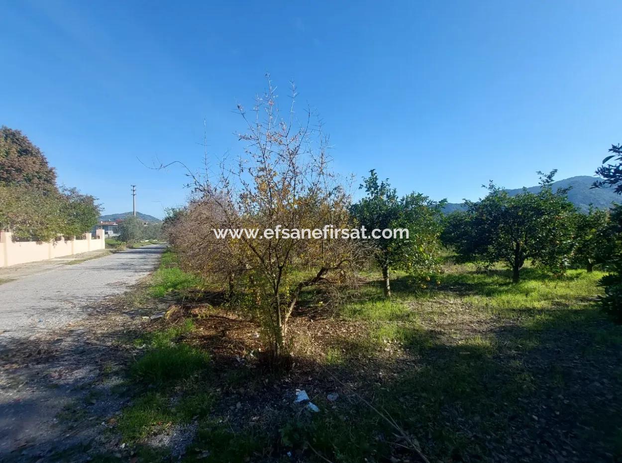 4 500 M2 Land With 150 M2 Construction Right In Muğla Dalyan For Sale Or Exchange For Villa From Dalyan
