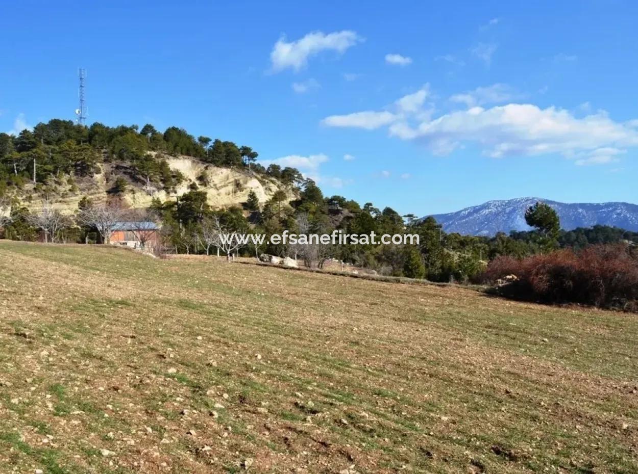 Stone House On St John's Island And Land For Sale Or Swap