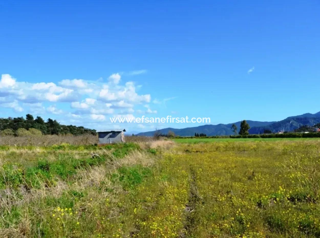 Farm For Sale Bargain In Dalyan