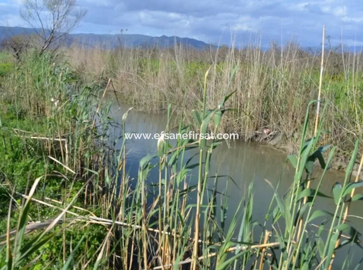 Farm For Sale Bargain In Dalyan