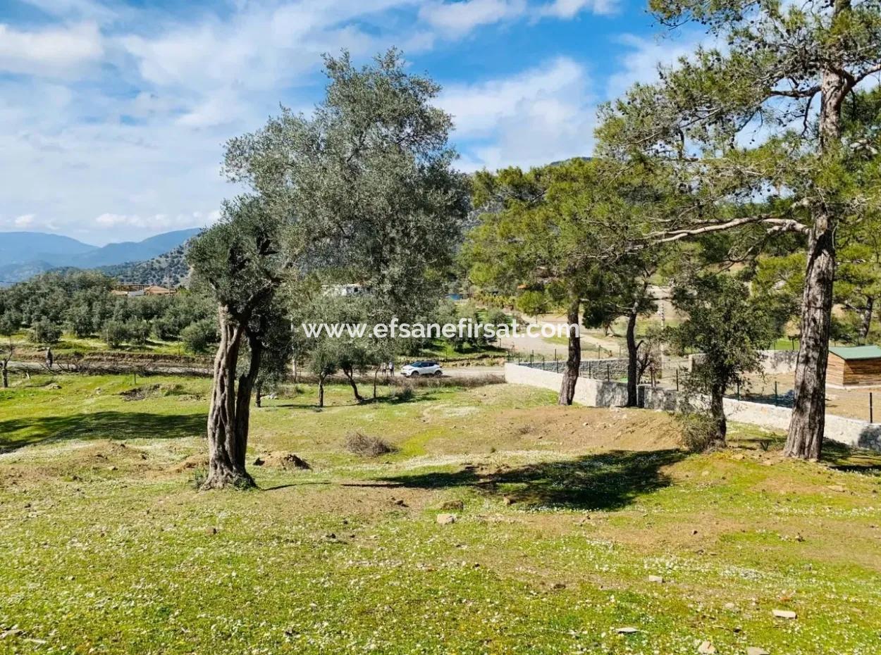 Detached Field For Sale In Ortaca Gökbel