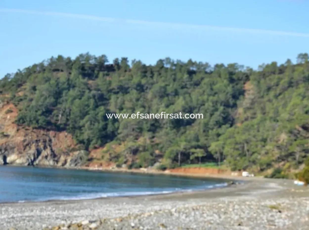 Plot For Sale In Gocek Near The Beach, With A Project Inlice