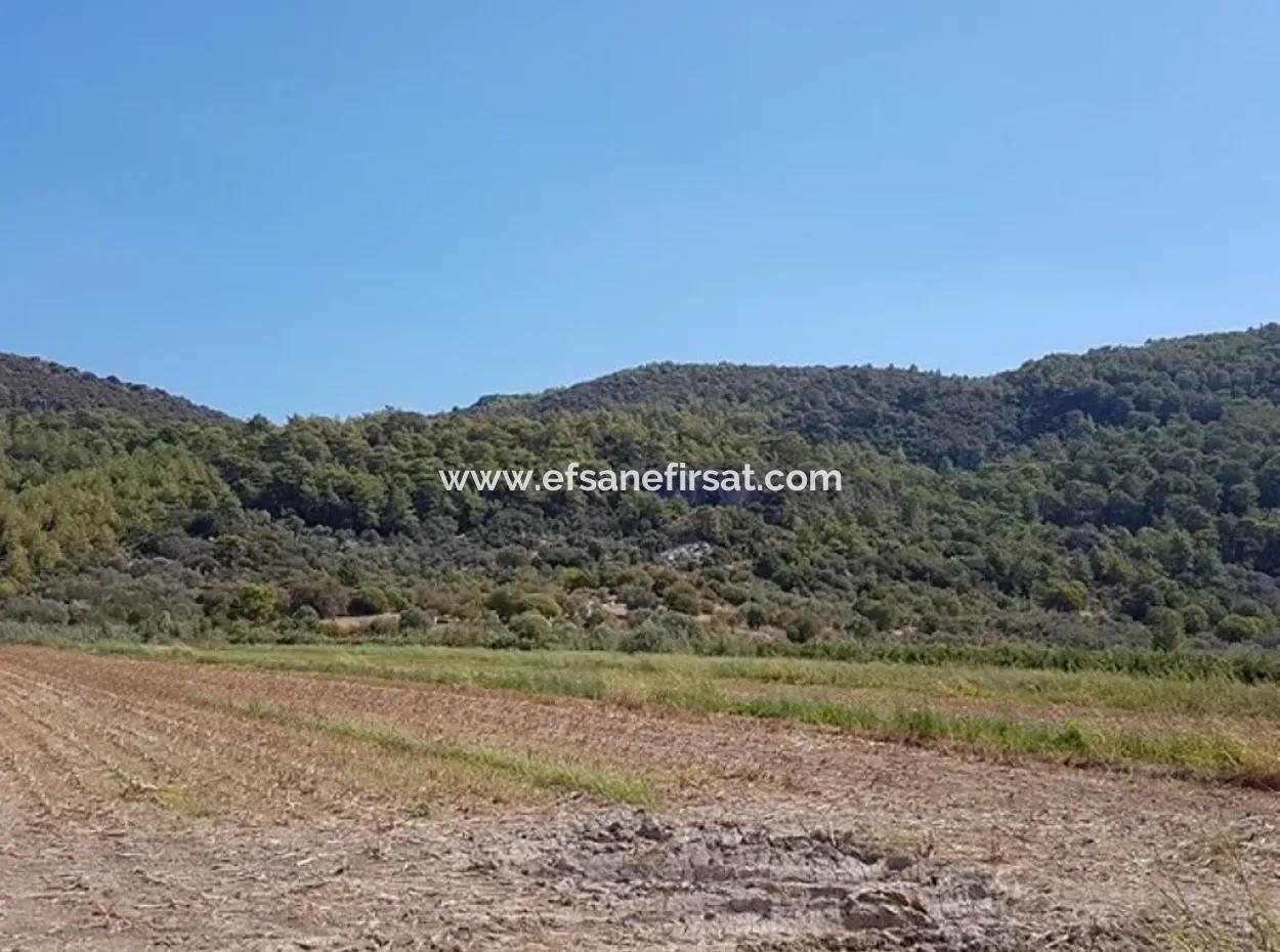 Fertile Land For Sale In Famagusta Bargain