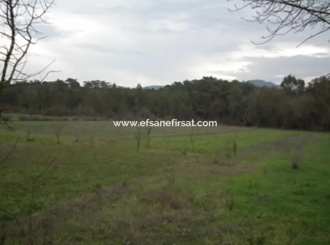 Ula Karabortlen Zero On The Main Road Land For Sale