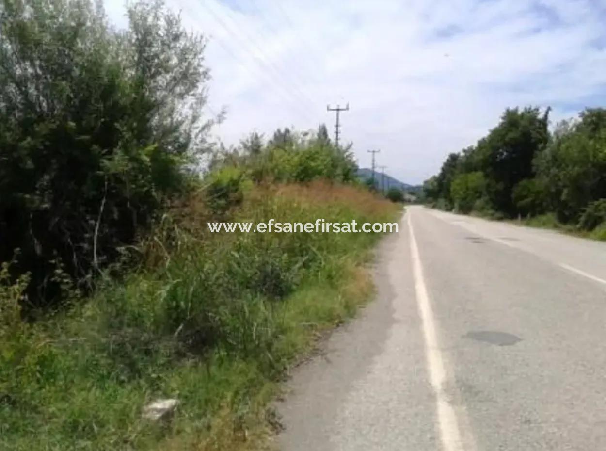 Oriya Land Near Main Road For Sale In Fethiye