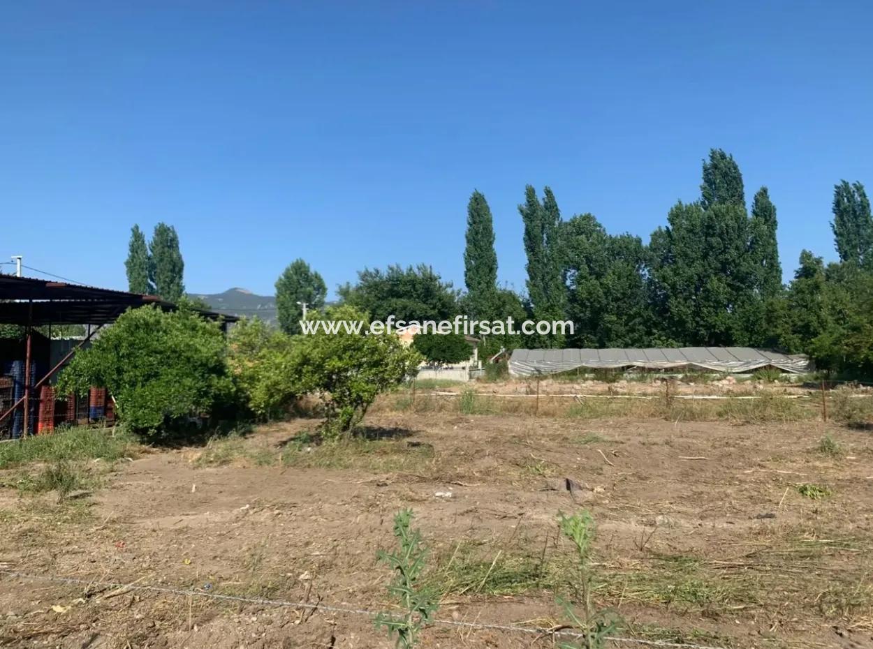 Villa 358 M2 Land For Sale In Oriya Also