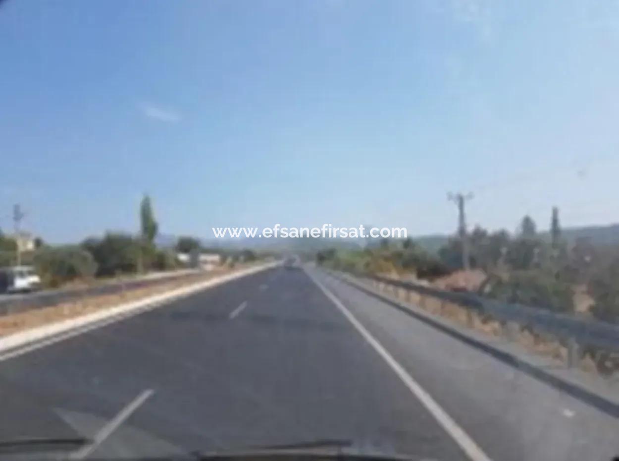 From The Main Road Land For Sale In Koycegiz Zeytinalani Zero