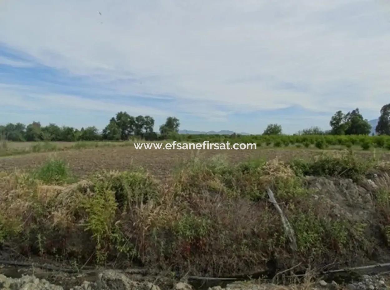 Also Suitable For Investment 31,175 M2 Land For Sale In Koycegiz Up