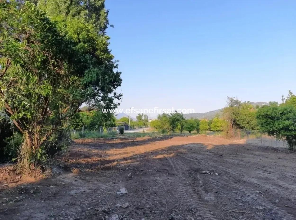 Archers Land For Sale With Title Deeds