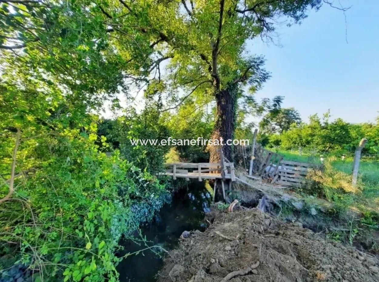 Archers Land For Sale With Title Deeds