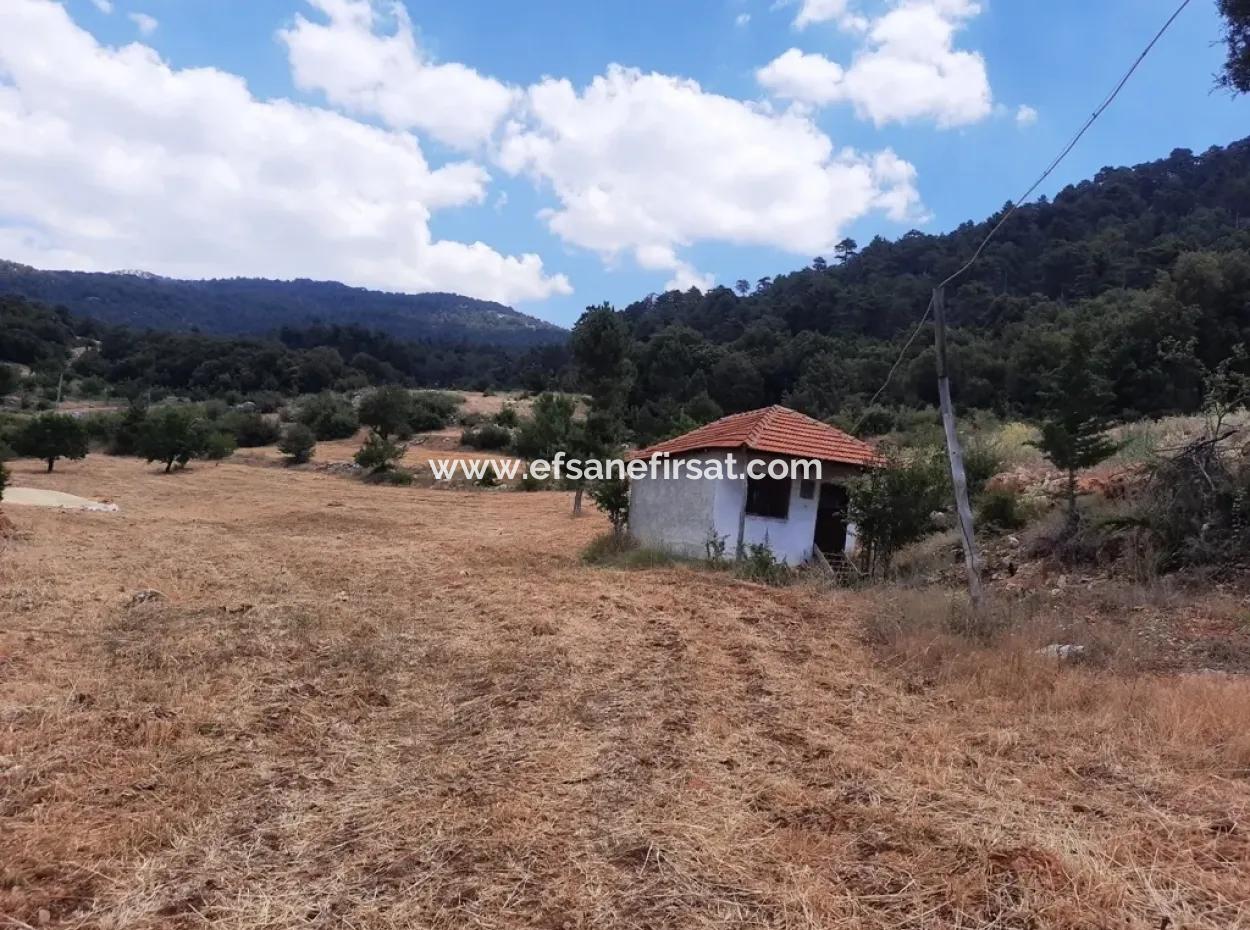 7 350 M2 Detached Land And House For Sale Or In Exchange With Apartment In Çameli Cevizli