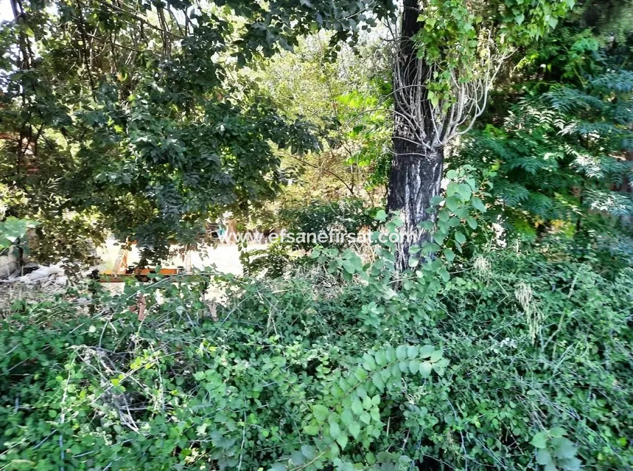 Zero Land For Sale On Ortaca Dyed