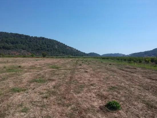For Sale Land Guzelyurt Ta Oriya, Bargain 9726 M2