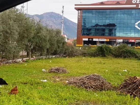 Commercial Plot For Sale In Oriya