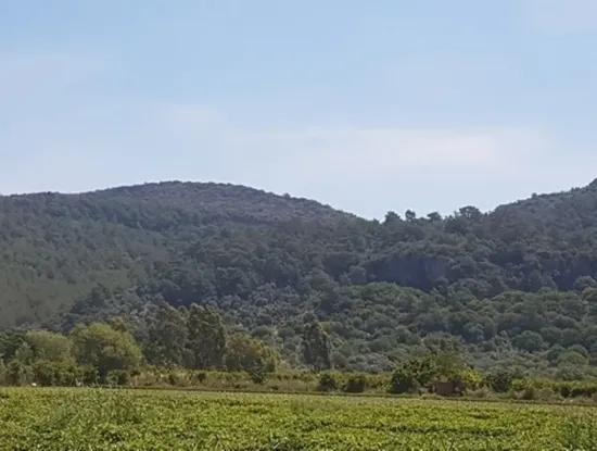 Oriya Eksiliyurt Mah. 26512 M2 Arable Land Also For Sale