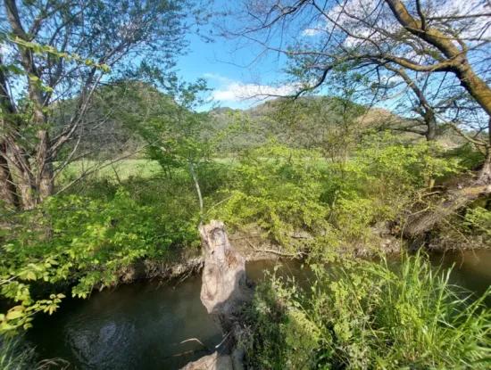 In Muğla Ortaca Eskiköy, 12.805 M2 Of Land With A Share Is For Sale.