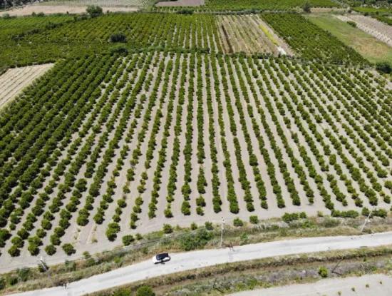 13 500 M2 Field For Sale In Ortaca Mergenli