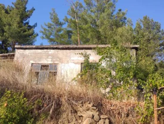 Muğla, Dalaman, Elcik 1 100 M2, Detached Land, 60 M2 Village House For Sale