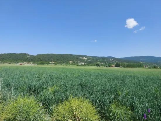 For Sale In Denizli Çameli Kızılyaka 1500 M2 Detached Title Deed Bargain Land