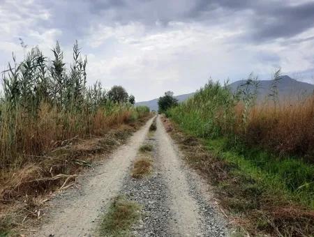 Fertile Land For Sale In Ortaca Eskiköy