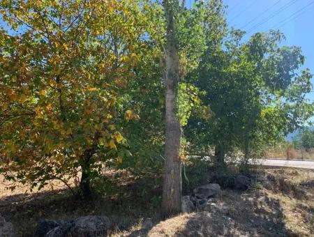 Denizli Çameli Bargain Zoning Land For Sale