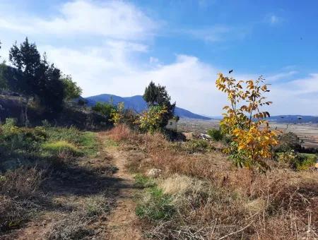 Denizli Çameli Kizilyaka Butterfly Land And Village House With Dog View For Sale