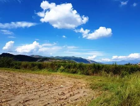 Fertile Bargain Land For Sale In Muğla Ortaca Güzelyurt