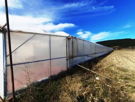 Denizli Çameli Yumrutaş Detached 4 000 M2 Greenhouse For Sale