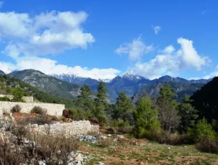 Zoning Land For Sale In Fethiye Grapes Kizilbel