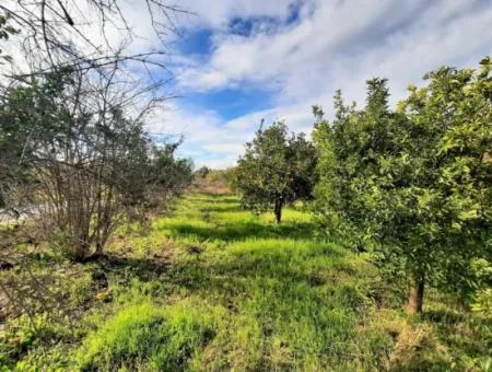 2 Parcels Of Zoning Land Side By Side For Sale In Ortaca Yerbelen