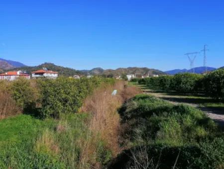 795 M2 30% Zoning Land For Sale In Ortaca Yerbelen