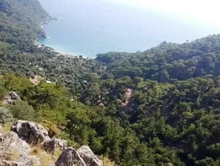 Plot For Sale In Faralya Fethiye With Sea Views, 6750 M2