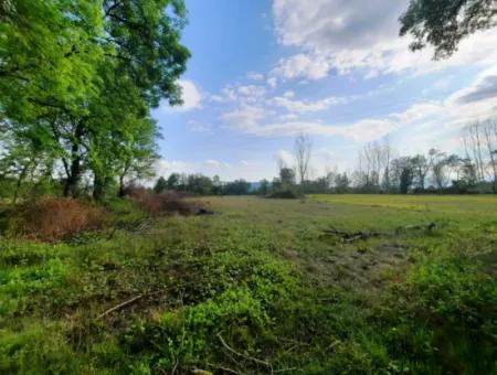 7668 M2 Bargain Land With Lake View For Sale In Köyceğiz Zeytinalani