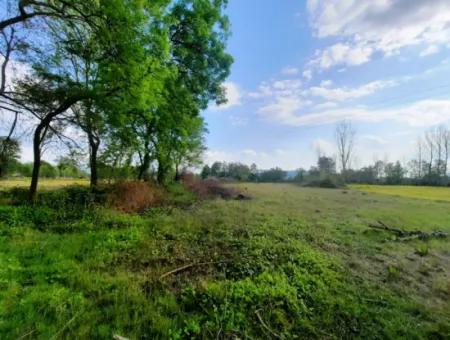 7668 M2 Bargain Land With Lake View For Sale In Köyceğiz Zeytinalani