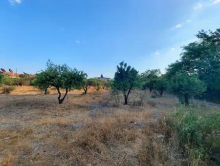 1080 M2 Zoning Land For Sale In Köyceğiz Toparlar