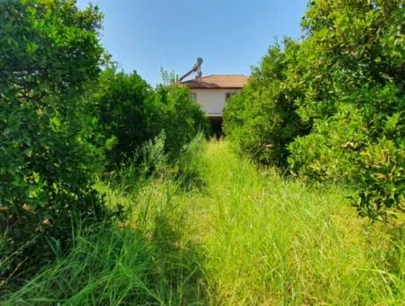 1063 M2 Zoning Land For Sale In Mugla Ortaca Dikmekavak Neighborhood