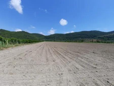 Fertile Land For Rent In Ortaca Güzelyurt