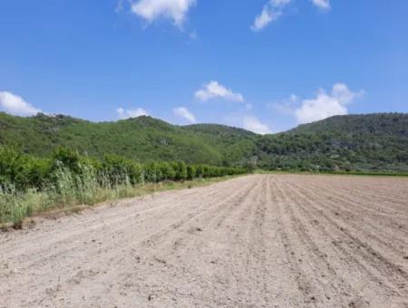 Fertile Land For Rent In Ortaca Güzelyurt