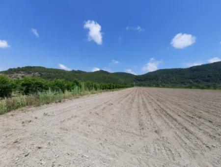 Fertile Land For Rent In Ortaca Güzelyurt