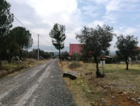 2788 M2 Field With Lake View For Sale In Mugla Köyceğiz Zeytinalanı