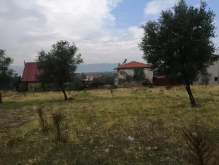 2788 M2 Field With Lake View For Sale In Mugla Köyceğiz Zeytinalanı