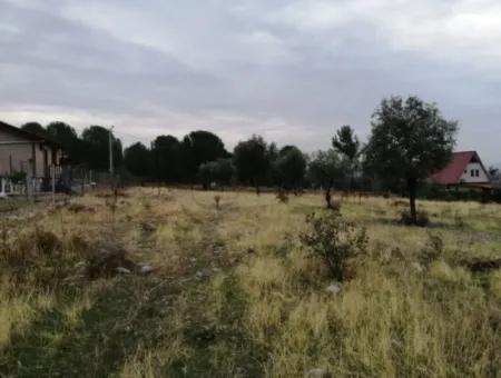 2788 M2 Field With Lake View For Sale In Mugla Köyceğiz Zeytinalanı