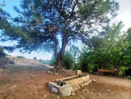 Mugla Dalyan Gökbel 320 M2 Bargain Land For Sale