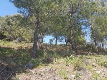 Plot With Sea Views For Sale Bargain Ortaca Sarıgerme