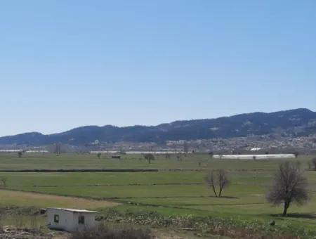 5 000 M2 Detached Title Deed Deposit Suitable For Sale In Çameli Belevide Bargain Field For Sale