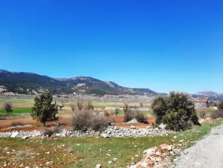 5 000 M2 Detached Title Deed Deposit Suitable For Sale In Çameli Belevide Bargain Field For Sale